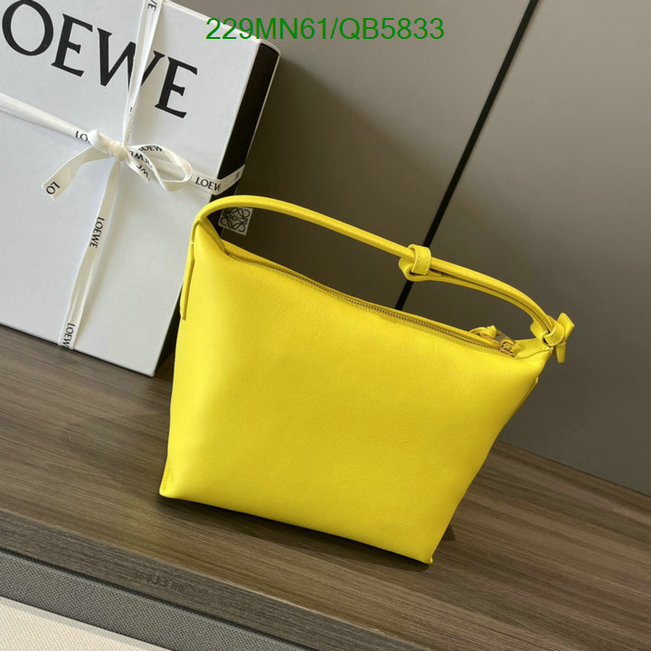 Loewe Bag-(Mirror)-Cubi Code: QB5833 $: 229USD