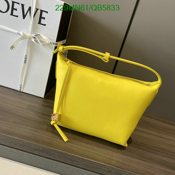 Loewe Bag-(Mirror)-Cubi Code: QB5833 $: 229USD