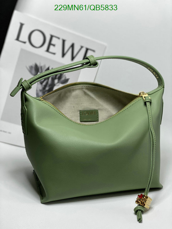 Loewe Bag-(Mirror)-Cubi Code: QB5833 $: 229USD