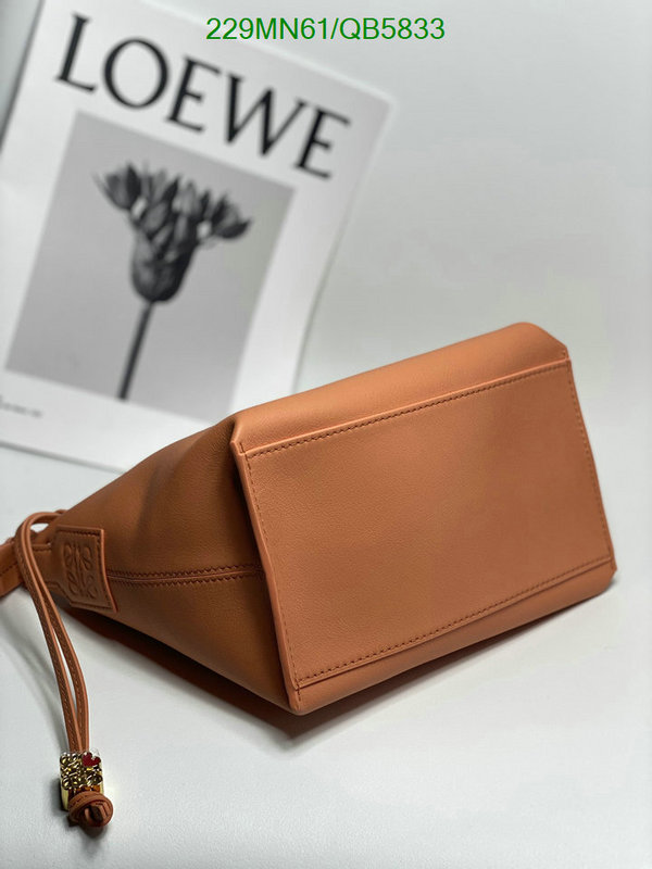 Loewe Bag-(Mirror)-Cubi Code: QB5833 $: 229USD