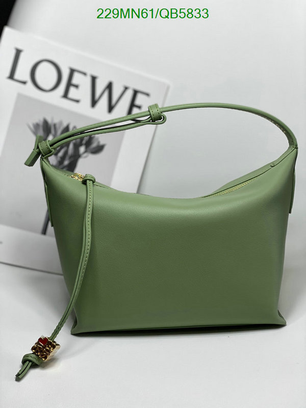 Loewe Bag-(Mirror)-Cubi Code: QB5833 $: 229USD