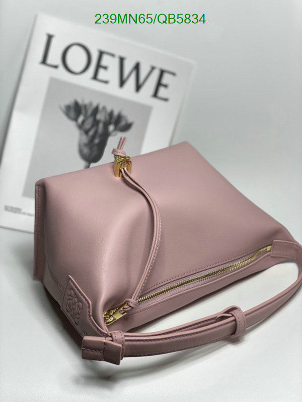 Loewe Bag-(Mirror)-Cubi Code: QB5834 $: 239USD