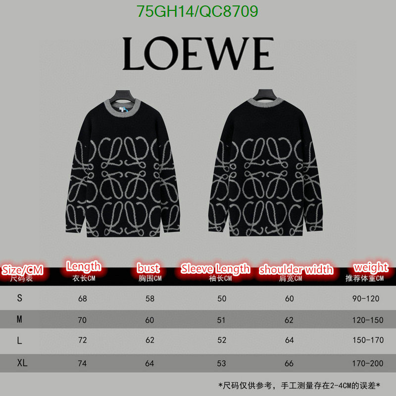 Clothing-Loewe Code: QC8709 $: 75USD