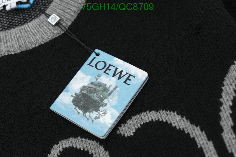 Clothing-Loewe Code: QC8709 $: 75USD