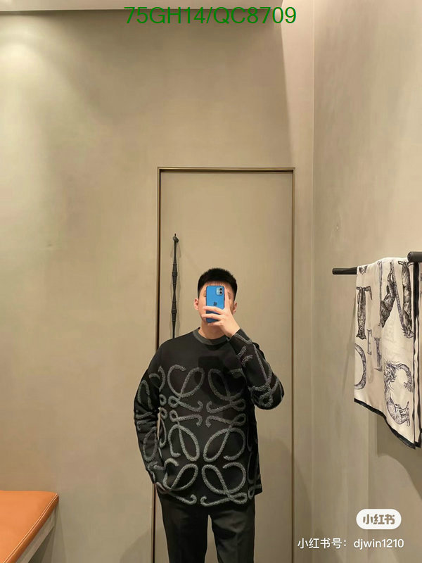 Clothing-Loewe Code: QC8709 $: 75USD