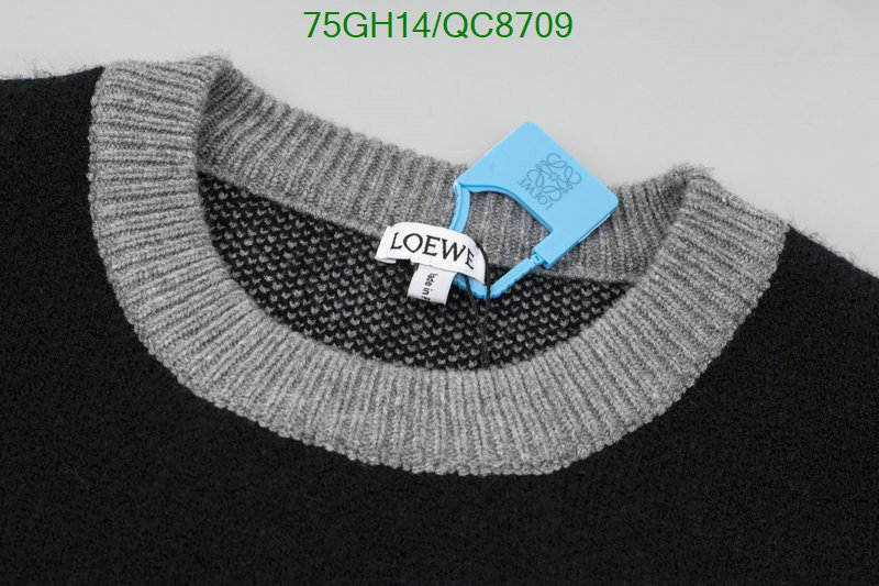 Clothing-Loewe Code: QC8709 $: 75USD