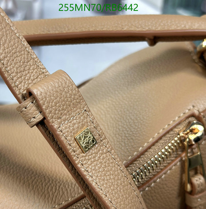 Loewe Bag-(Mirror)-Puzzle- Code: RB6442