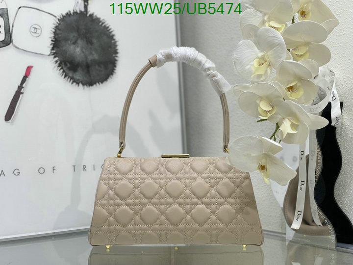 Dior Bag-(4A)-Other Style- Code: UB5474 $: 115USD