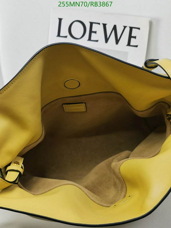 Loewe Bag-(Mirror)-Flamenco Code: RB3867 $: 255USD