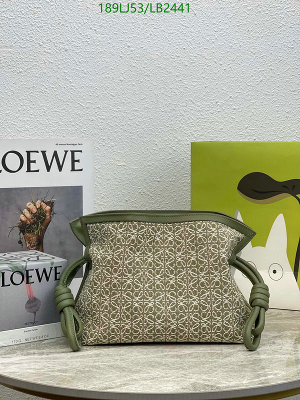 Loewe Bag-(Mirror)-Flamenco Code: LB2441 $: 189USD