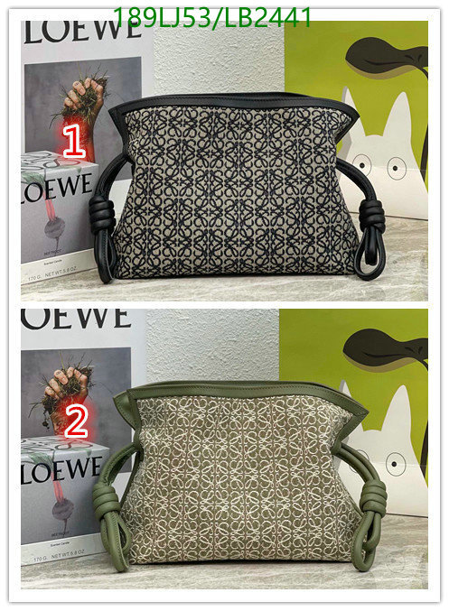 Loewe Bag-(Mirror)-Flamenco Code: LB2441 $: 189USD