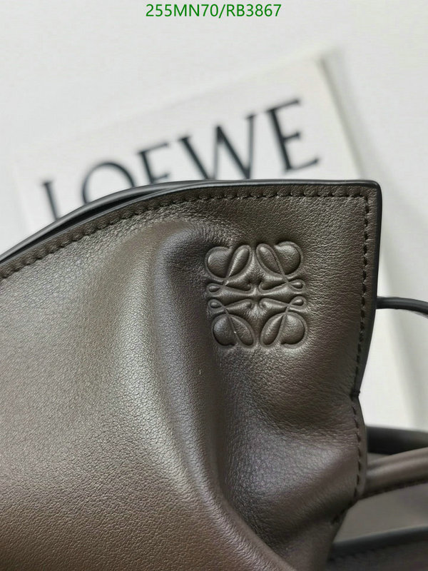 Loewe Bag-(Mirror)-Flamenco Code: RB3867 $: 255USD