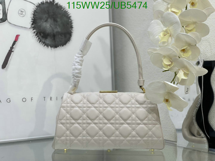 Dior Bag-(4A)-Other Style- Code: UB5474 $: 115USD