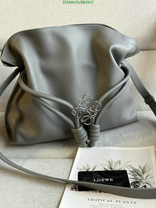 Loewe Bag-(Mirror)-Flamenco Code: RB3957 $: 255USD