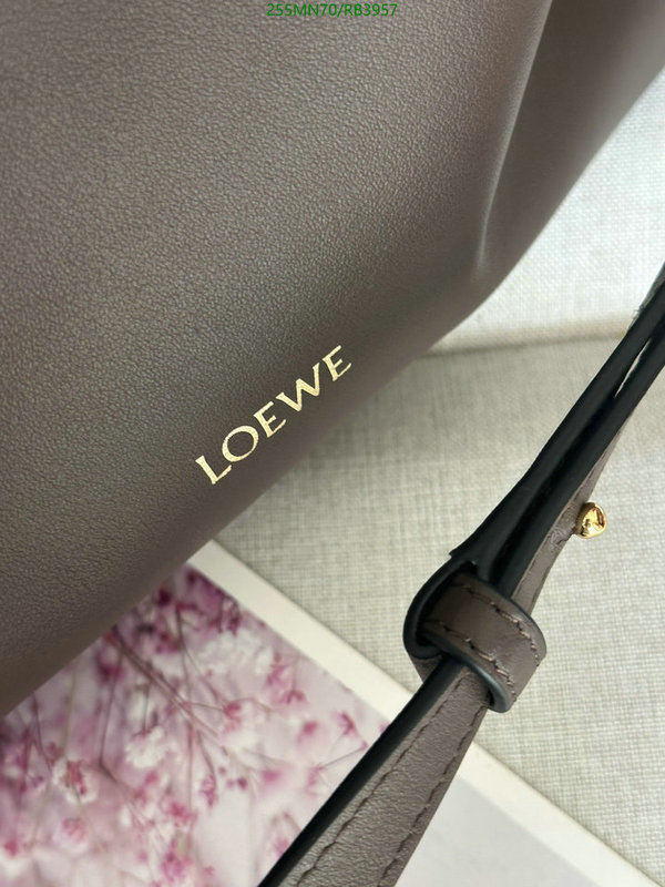 Loewe Bag-(Mirror)-Flamenco Code: RB3957 $: 255USD