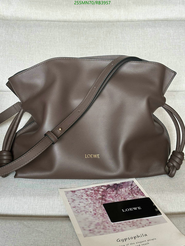 Loewe Bag-(Mirror)-Flamenco Code: RB3957 $: 255USD