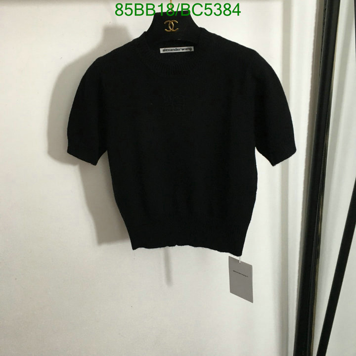 Clothing-Alexander Wang Code: BC5384 $: 85USD