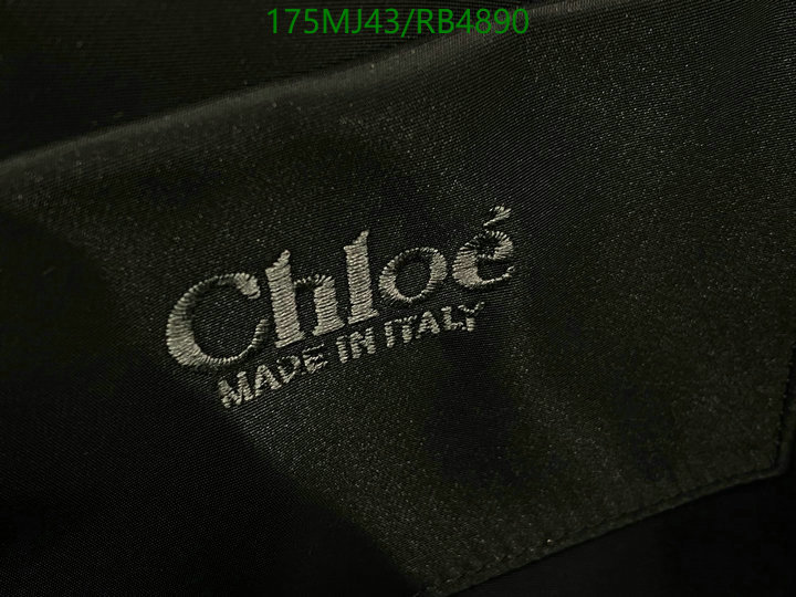 Chloe Bag-(Mirror)-Woody Code: RB4890