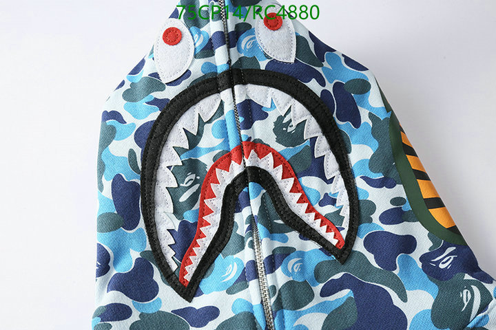 Clothing-BAPE Code: RC4880 $: 75USD