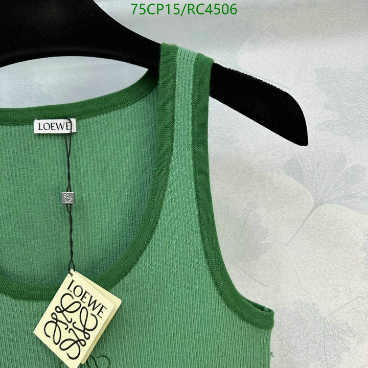Clothing-Loewe Code: RC4506 $: 75USD
