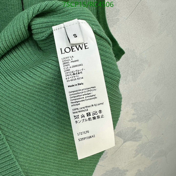 Clothing-Loewe Code: RC4506 $: 75USD