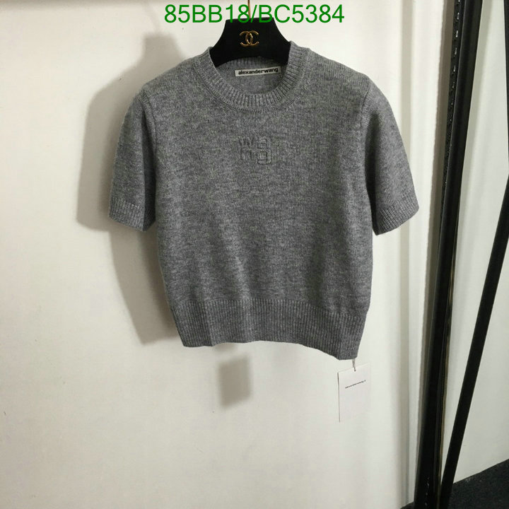 Clothing-Alexander Wang Code: BC5384 $: 85USD