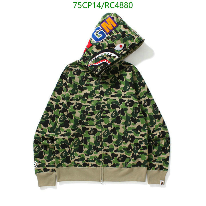 Clothing-BAPE Code: RC4880 $: 75USD