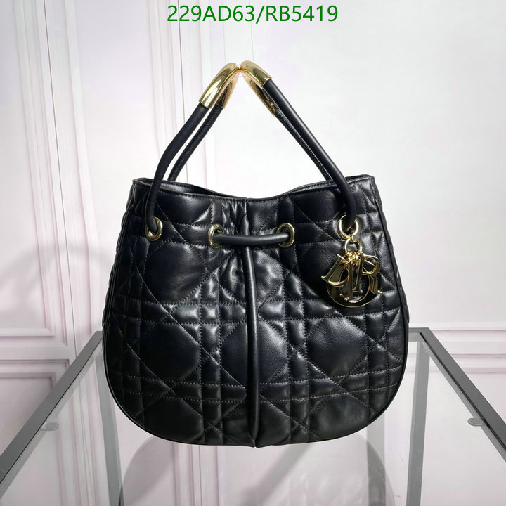 Dior Bag-(Mirror)-Other Style- Code: RB5419 $: 229USD