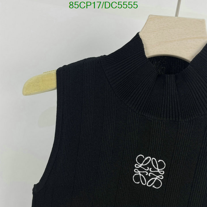 Clothing-Loewe Code: DC5555 $: 85USD