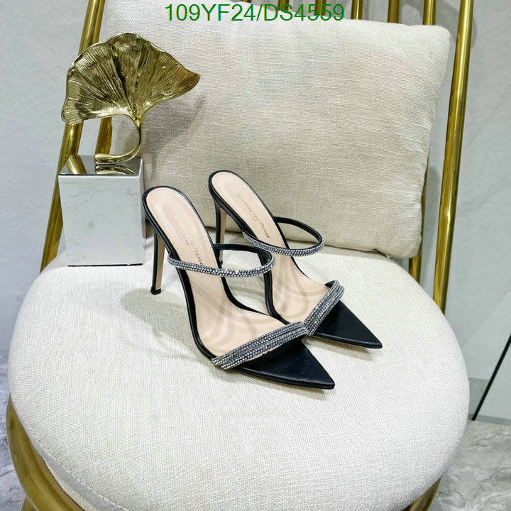 Women Shoes-Gianvito Rossi Code: DS4559 $: 109USD