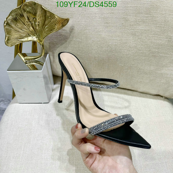 Women Shoes-Gianvito Rossi Code: DS4559 $: 109USD