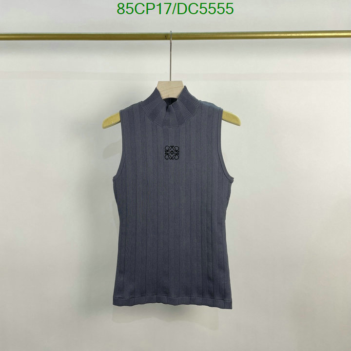 Clothing-Loewe Code: DC5555 $: 85USD