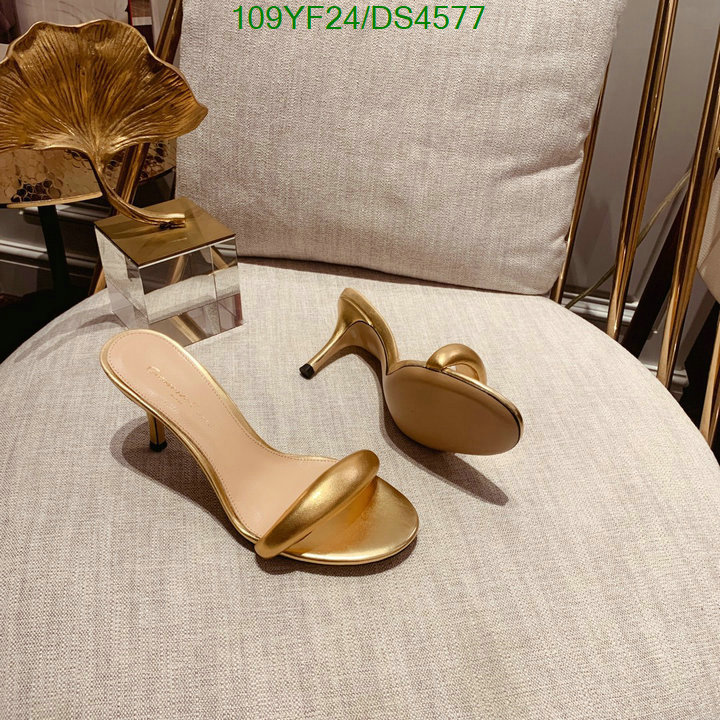 Women Shoes-Gianvito Rossi Code: DS4577 $: 109USD