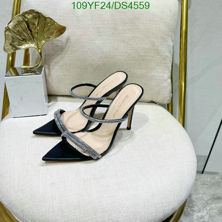 Women Shoes-Gianvito Rossi Code: DS4559 $: 109USD