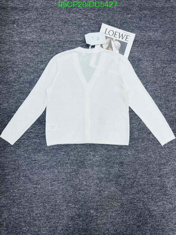 Clothing-Dior Code: DC5427 $: 95USD