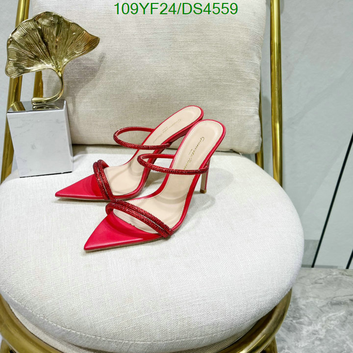 Women Shoes-Gianvito Rossi Code: DS4559 $: 109USD