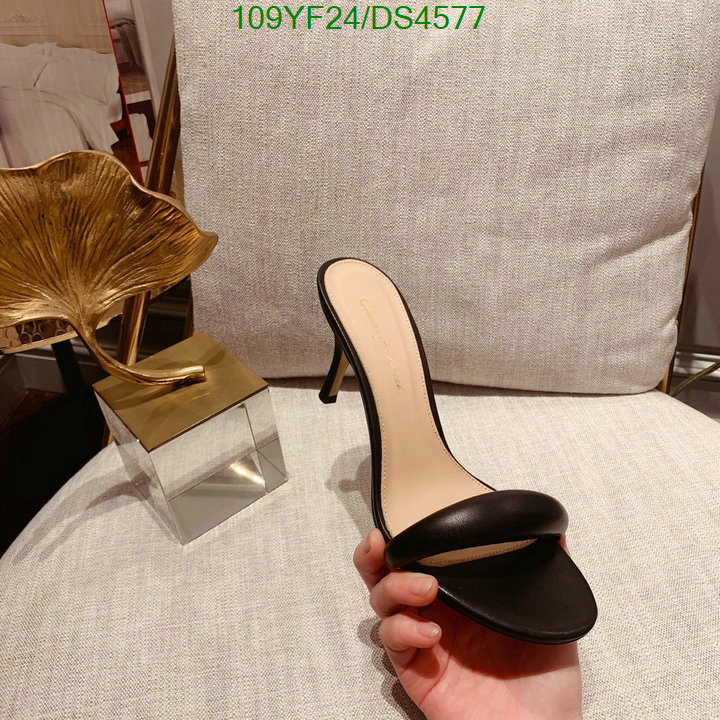 Women Shoes-Gianvito Rossi Code: DS4577 $: 109USD