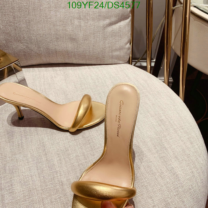 Women Shoes-Gianvito Rossi Code: DS4577 $: 109USD