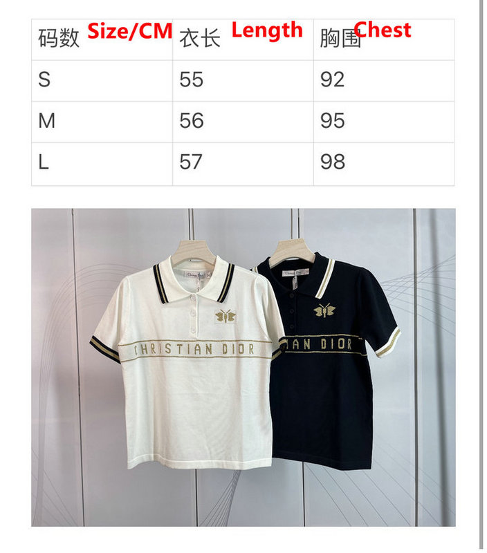 Clothing-Dior Code: DC5424 $: 89USD