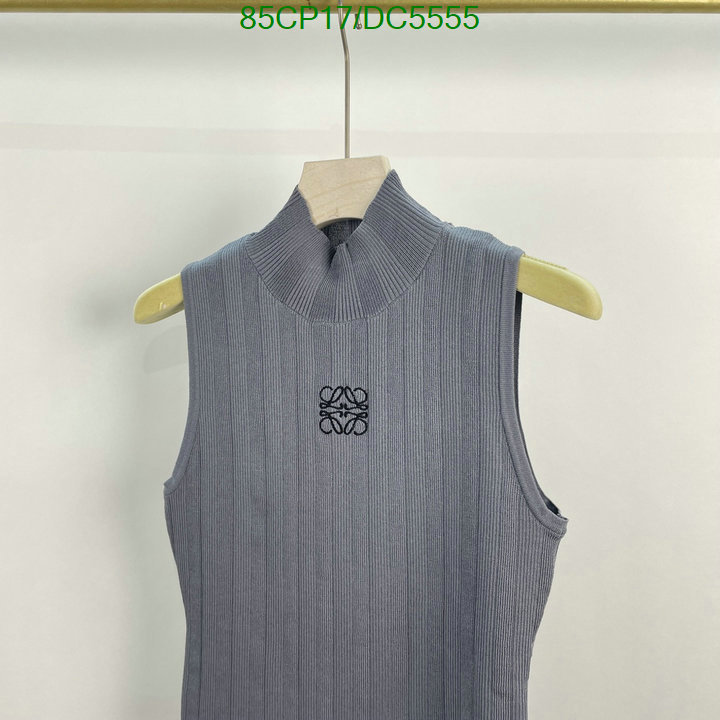 Clothing-Loewe Code: DC5555 $: 85USD