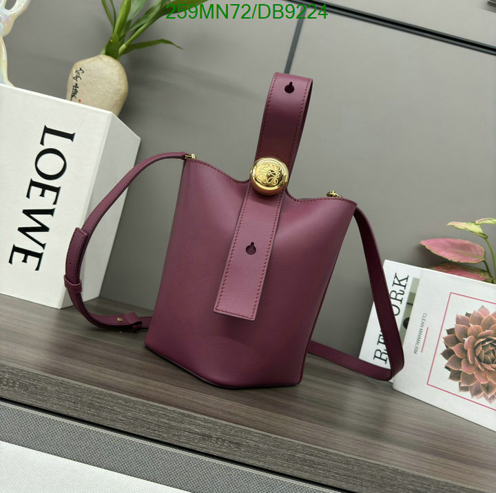 Loewe Bag-(Mirror)-Crossbody- Code: DB9224 $: 259USD