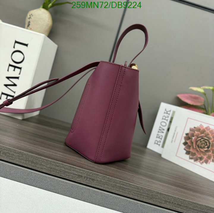 Loewe Bag-(Mirror)-Crossbody- Code: DB9224 $: 259USD