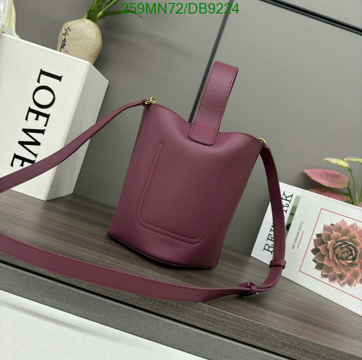 Loewe Bag-(Mirror)-Crossbody- Code: DB9224 $: 259USD