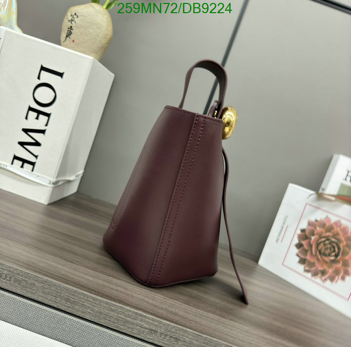 Loewe Bag-(Mirror)-Crossbody- Code: DB9224 $: 259USD