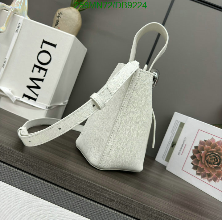 Loewe Bag-(Mirror)-Crossbody- Code: DB9224 $: 259USD