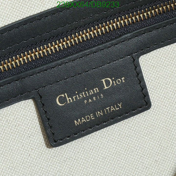 Dior Bag-(Mirror)-Other Style- Code: DB9233