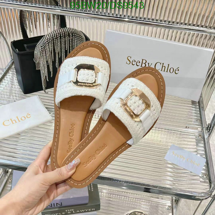 Women Shoes-Chloe Code: DS9543 $: 95USD