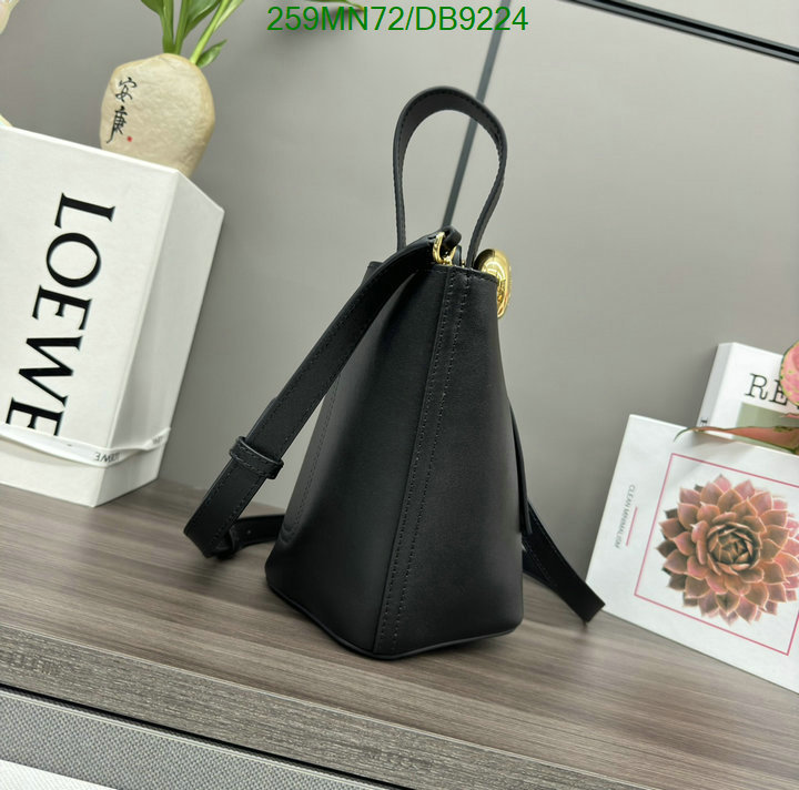 Loewe Bag-(Mirror)-Crossbody- Code: DB9224 $: 259USD