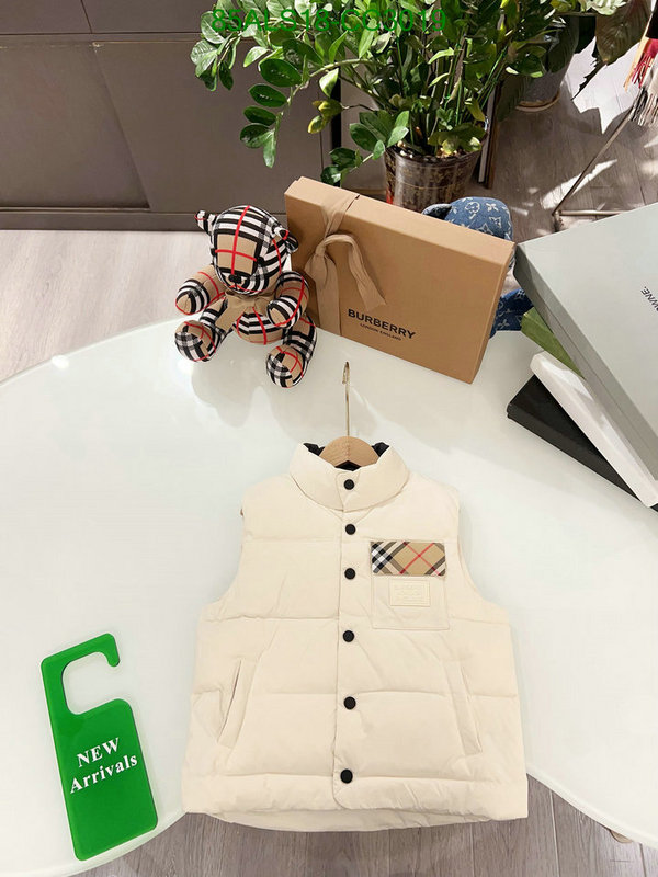 Kids Clothing-Down Jacket Code: CC3019 $: 85USD