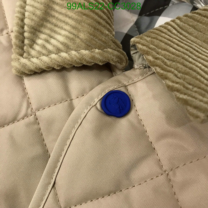 Kids Clothing-Down Jacket Code: CC3028 $: 99USD